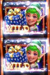 Martin Elves